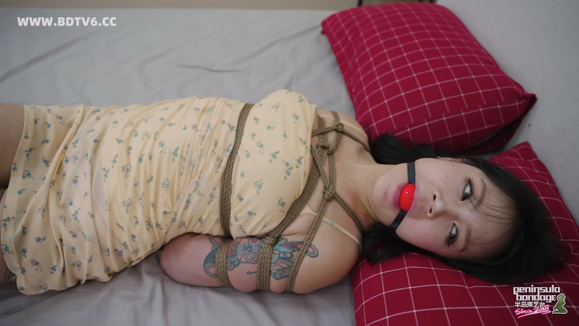 YT3049 家里进了蜜蜂/index.m3u8_20251223_032142.753.jpg