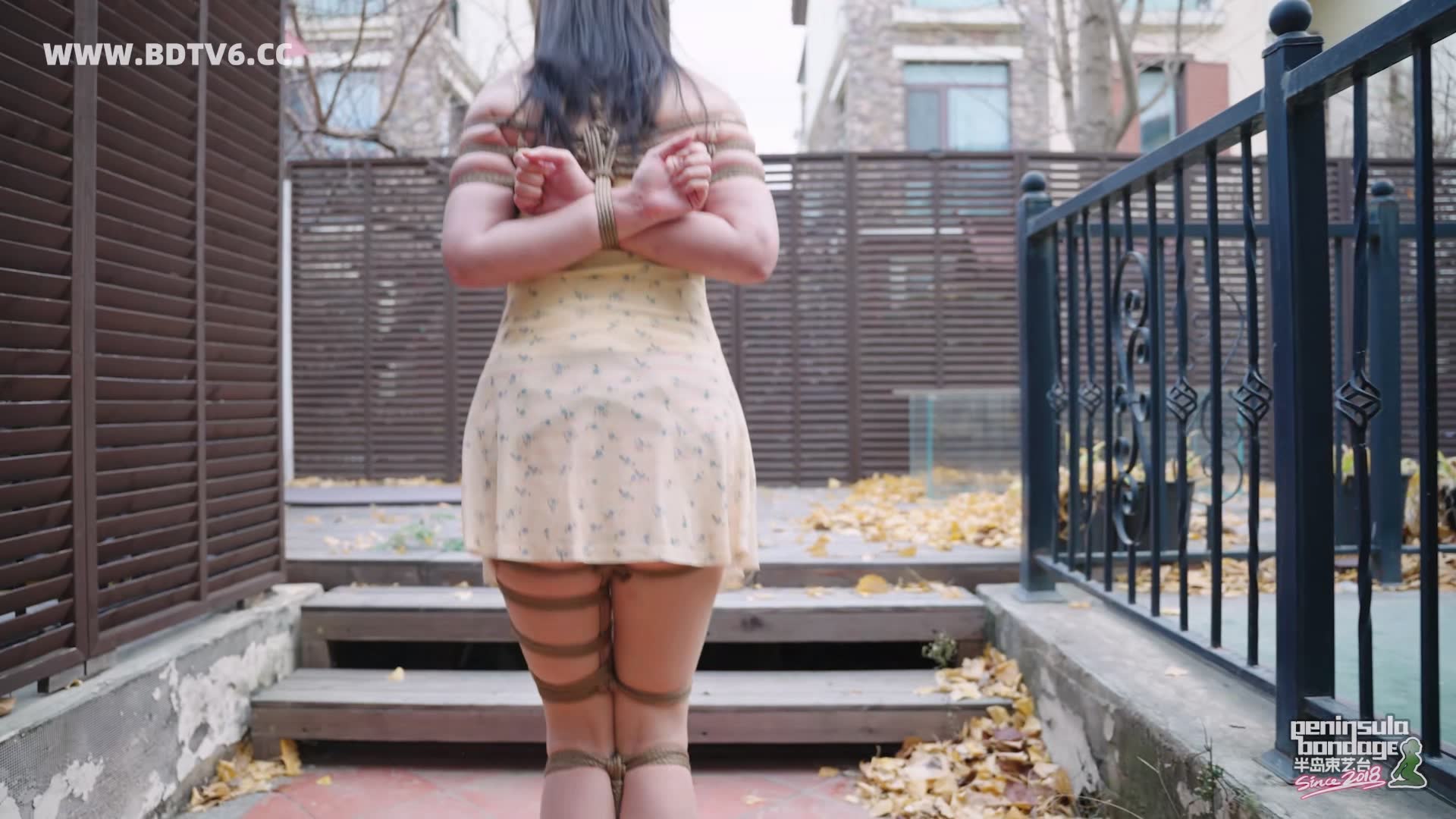 YT3049 家里进了蜜蜂/index.m3u8_20251223_032323.344.jpg