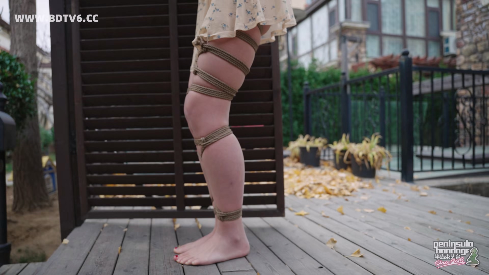 YT3049 家里进了蜜蜂/index.m3u8_20251223_032347.463.jpg