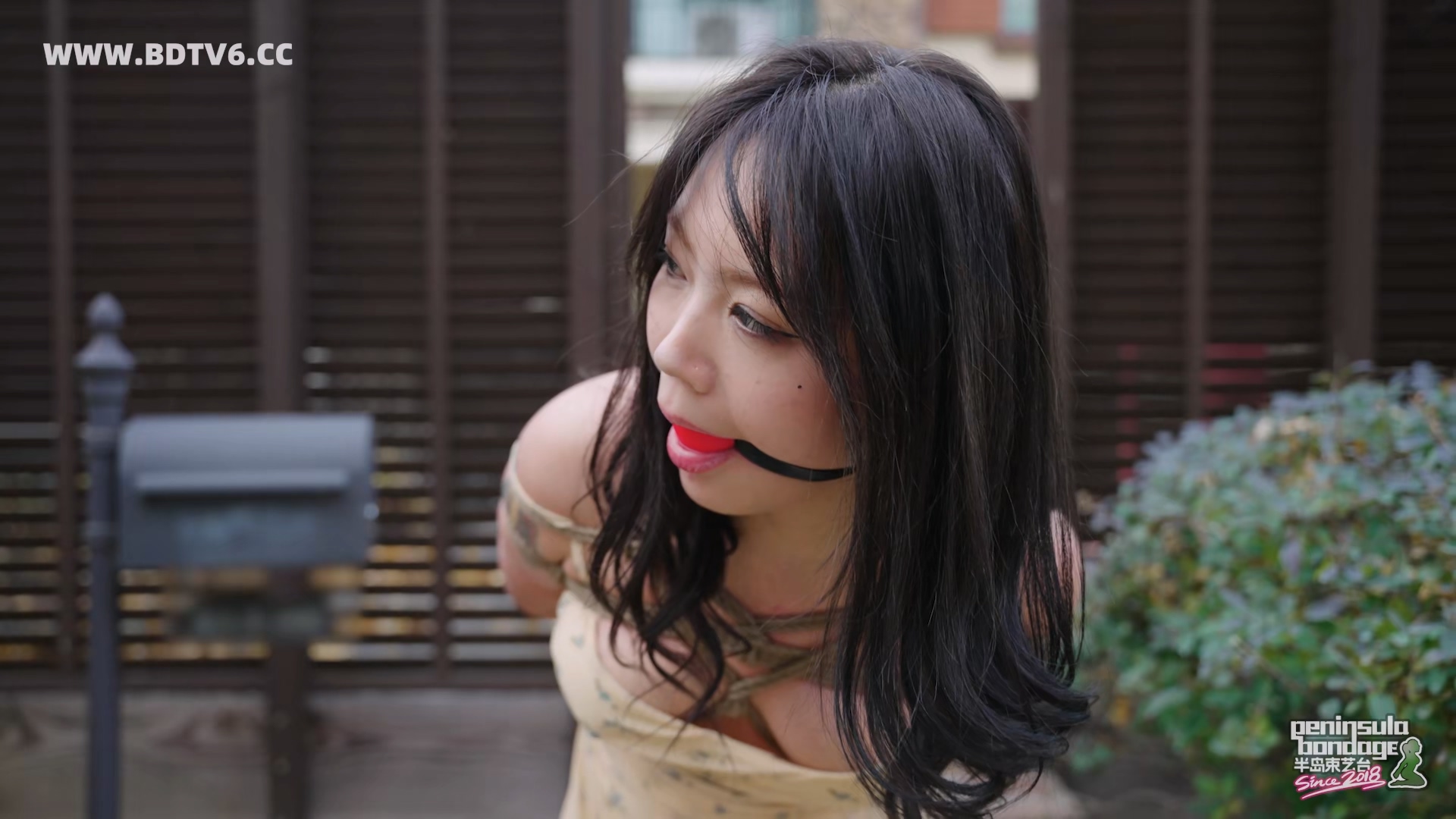 YT3049 家里进了蜜蜂/index.m3u8_20251223_032429.944.jpg