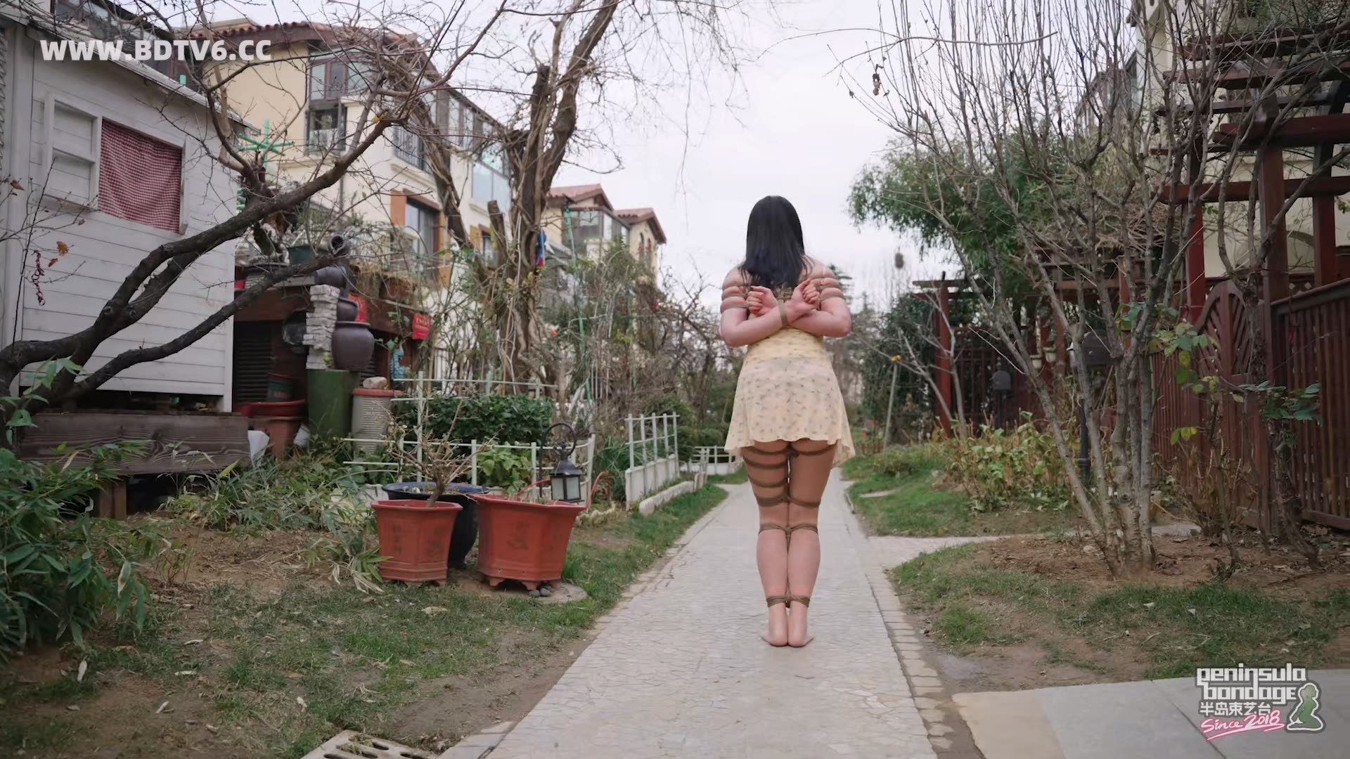 YT3049 家里进了蜜蜂/index.m3u8_20251223_032435.044.jpg