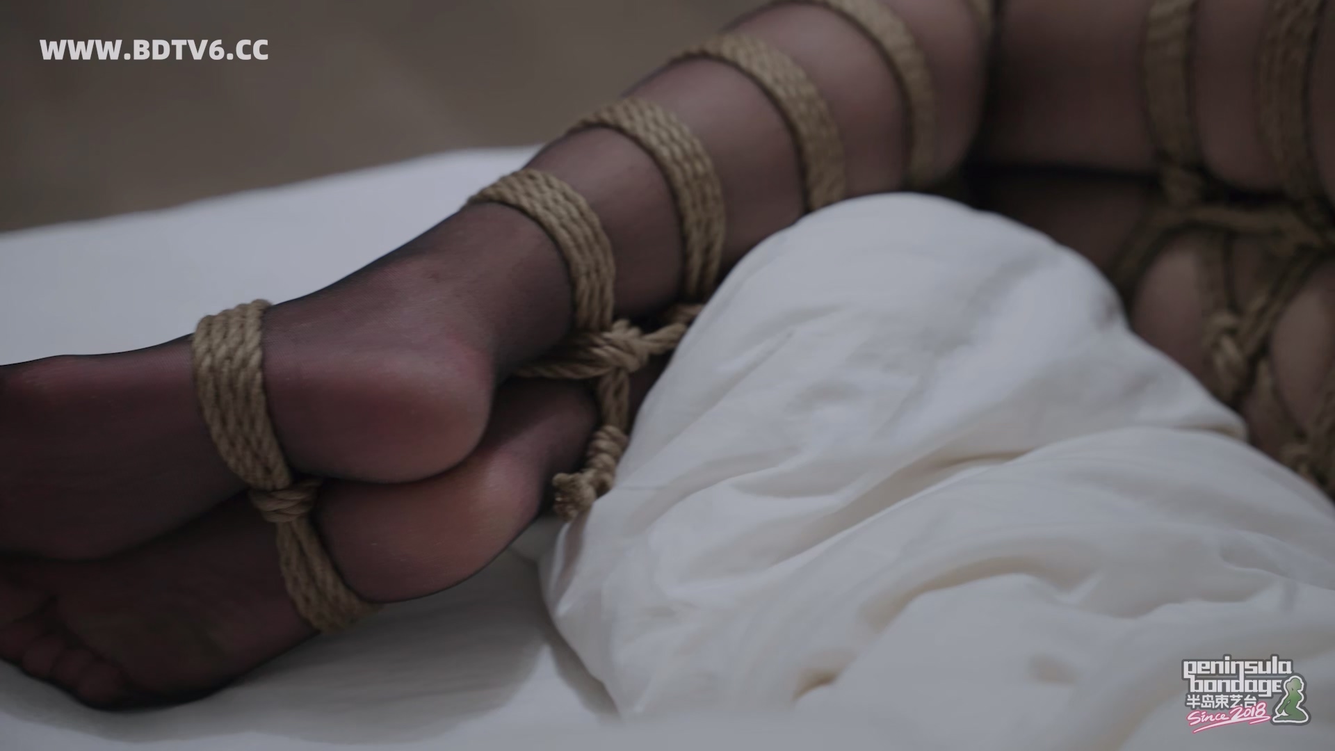 YT3053 缚影仪/index.m3u8_20251228_215202.147.jpg