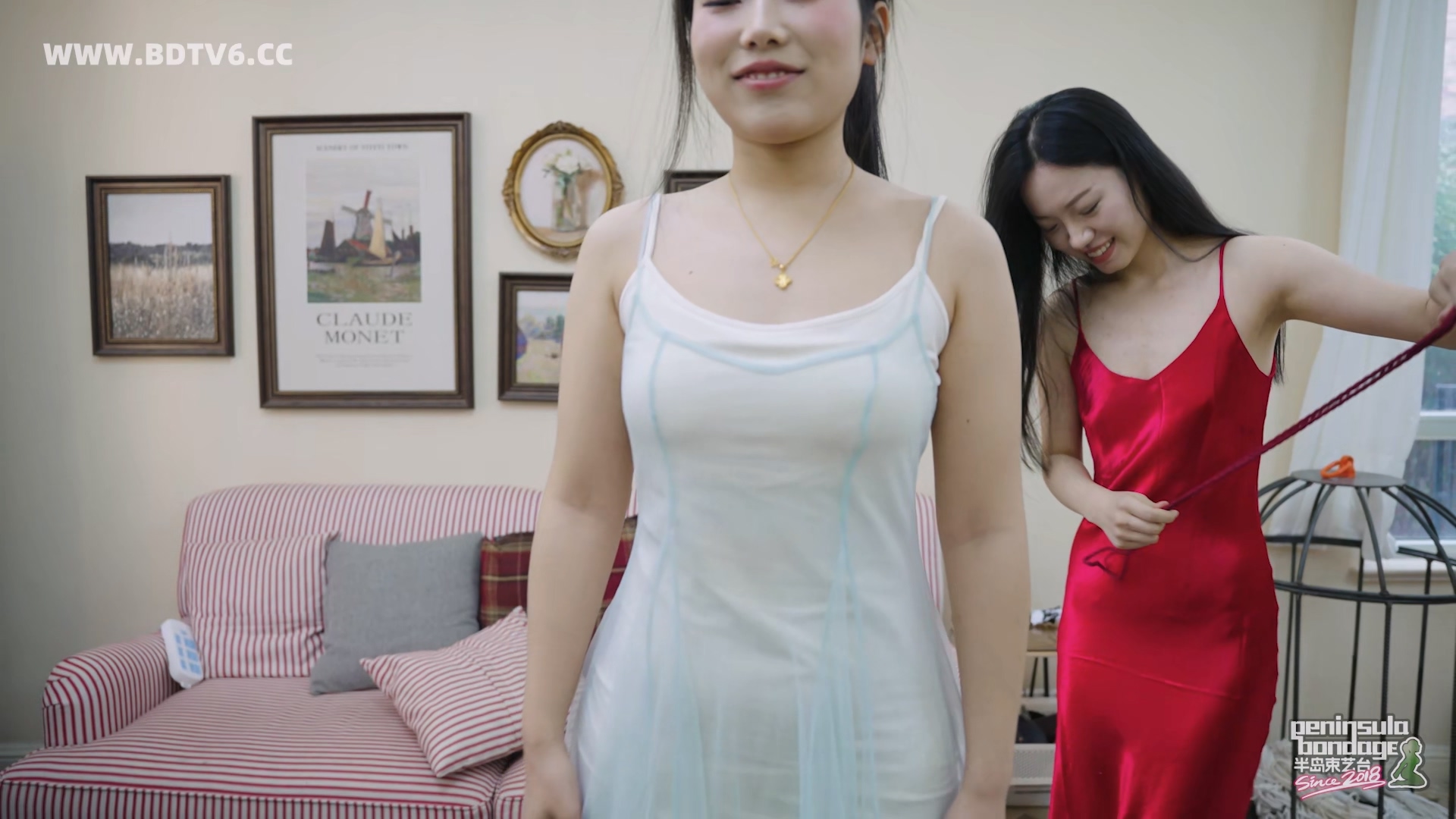 YT3087 临时抱佛脚的突击复习