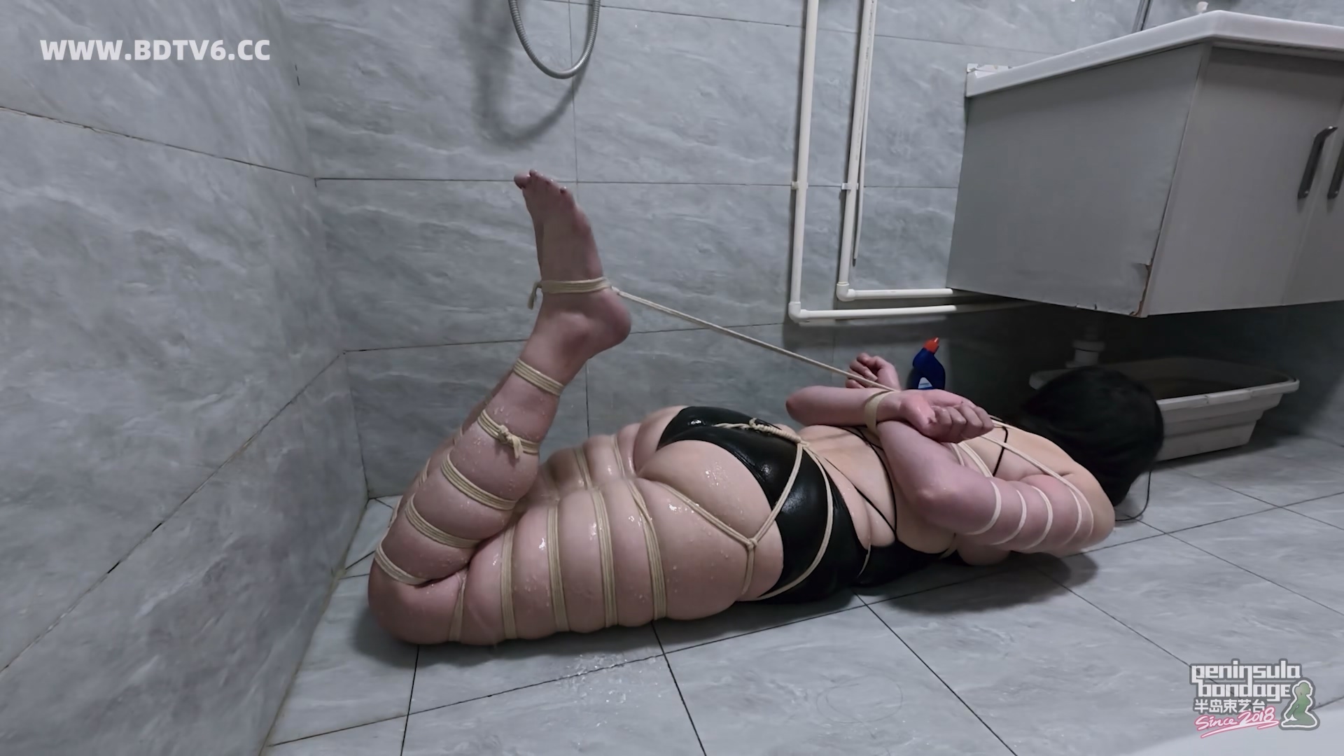 YT3103 马年贺岁片:射手座传说/index.m3u8_20260212_045144.346.jpg