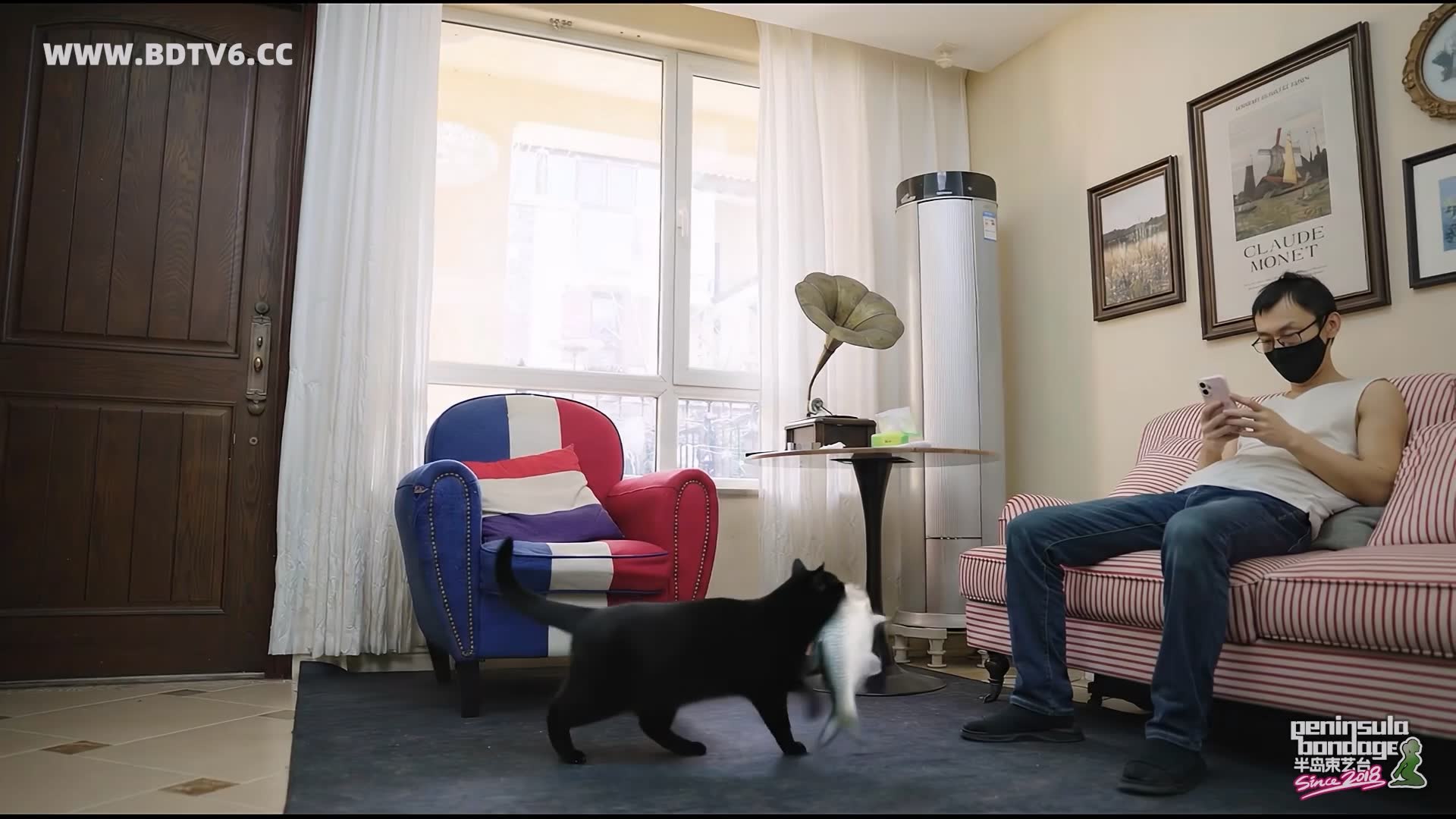 YT3092 猫的礼物/index.m3u8_20260213_202811.284.jpg