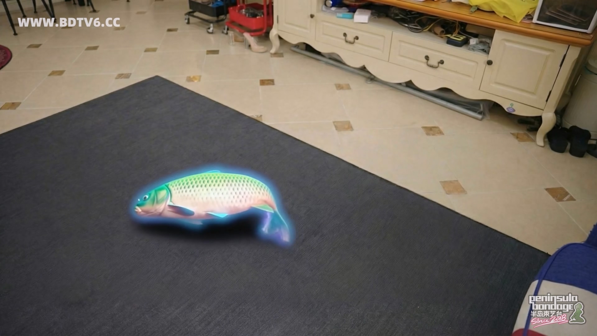 YT3092 猫的礼物/index.m3u8_20260213_202828.061.jpg