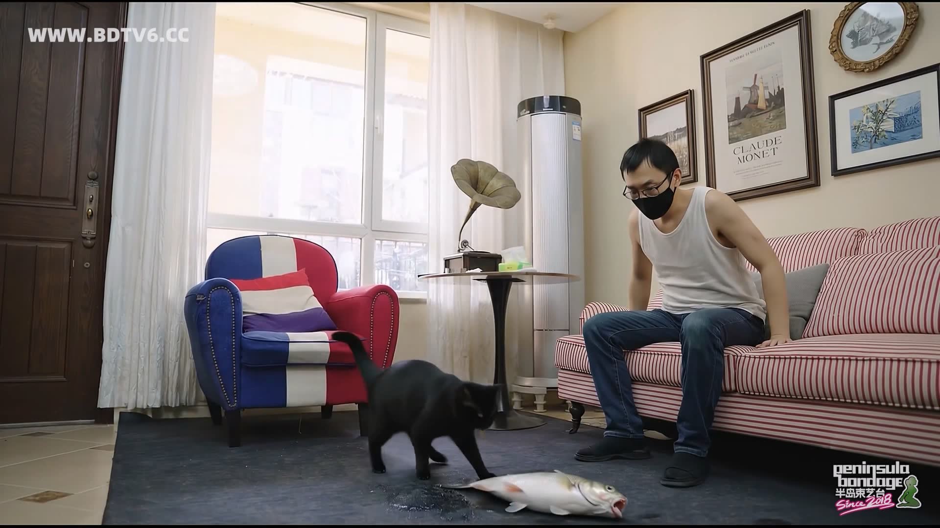 YT3092 猫的礼物/index.m3u8_20260213_202823.197.jpg