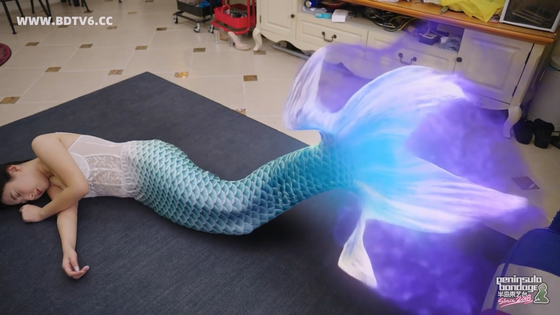 YT3092 猫的礼物/index.m3u8_20260213_202834.471.jpg