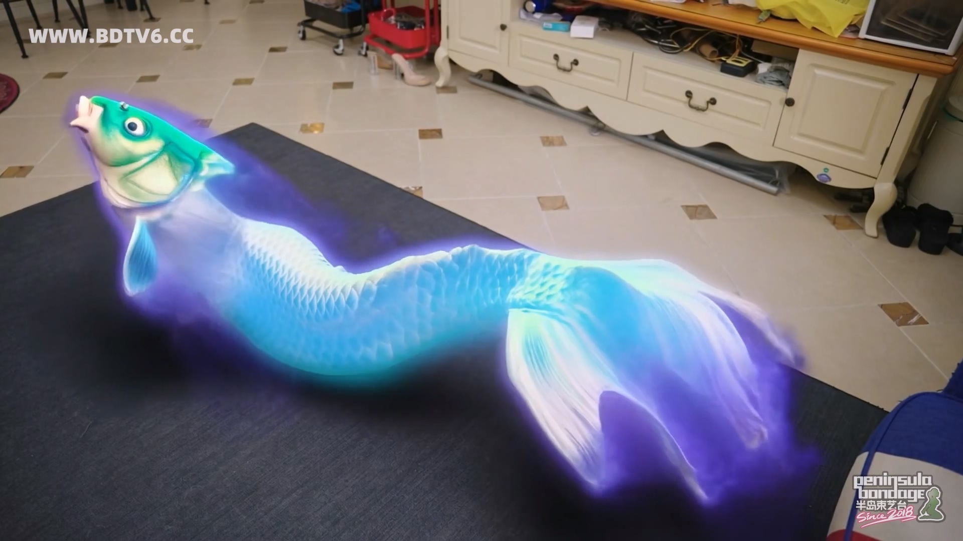 YT3092 猫的礼物/index.m3u8_20260213_202831.524.jpg