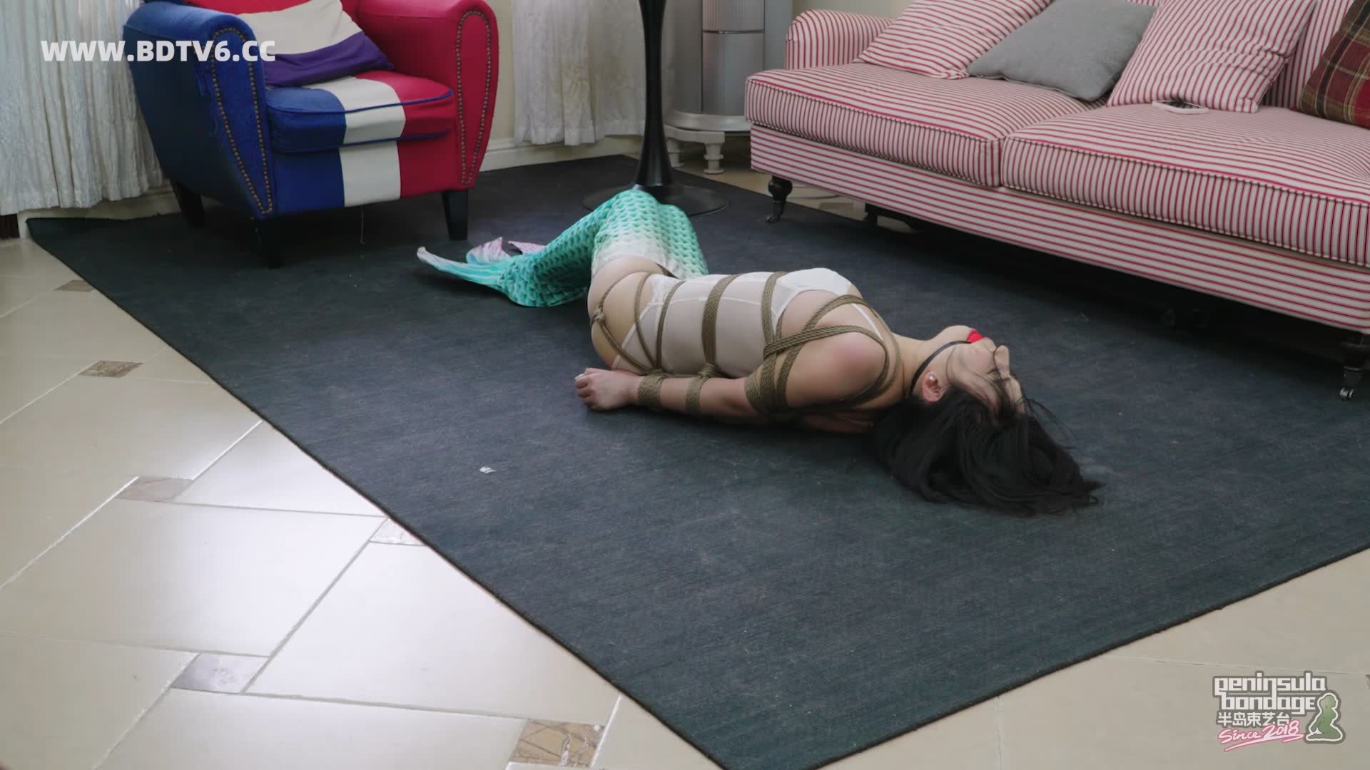 YT3092 猫的礼物/index.m3u8_20260213_202914.784.jpg