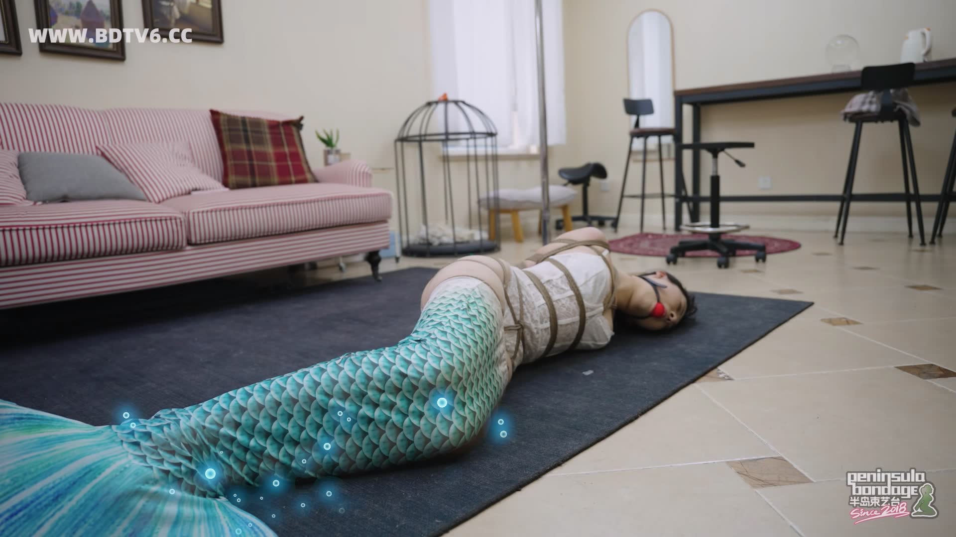 YT3092 猫的礼物/index.m3u8_20260213_202927.253.jpg