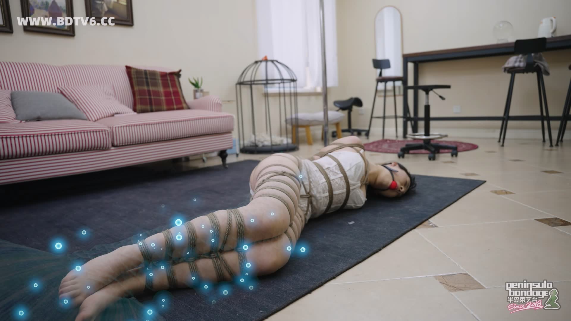 YT3092 猫的礼物/index.m3u8_20260213_202931.697.jpg