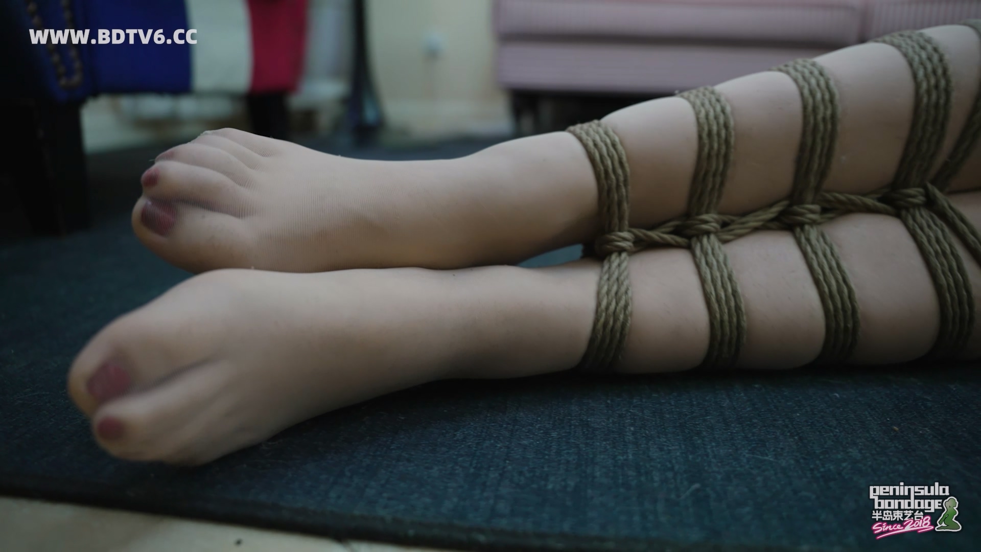 YT3092 猫的礼物/index.m3u8_20260213_202936.841.jpg