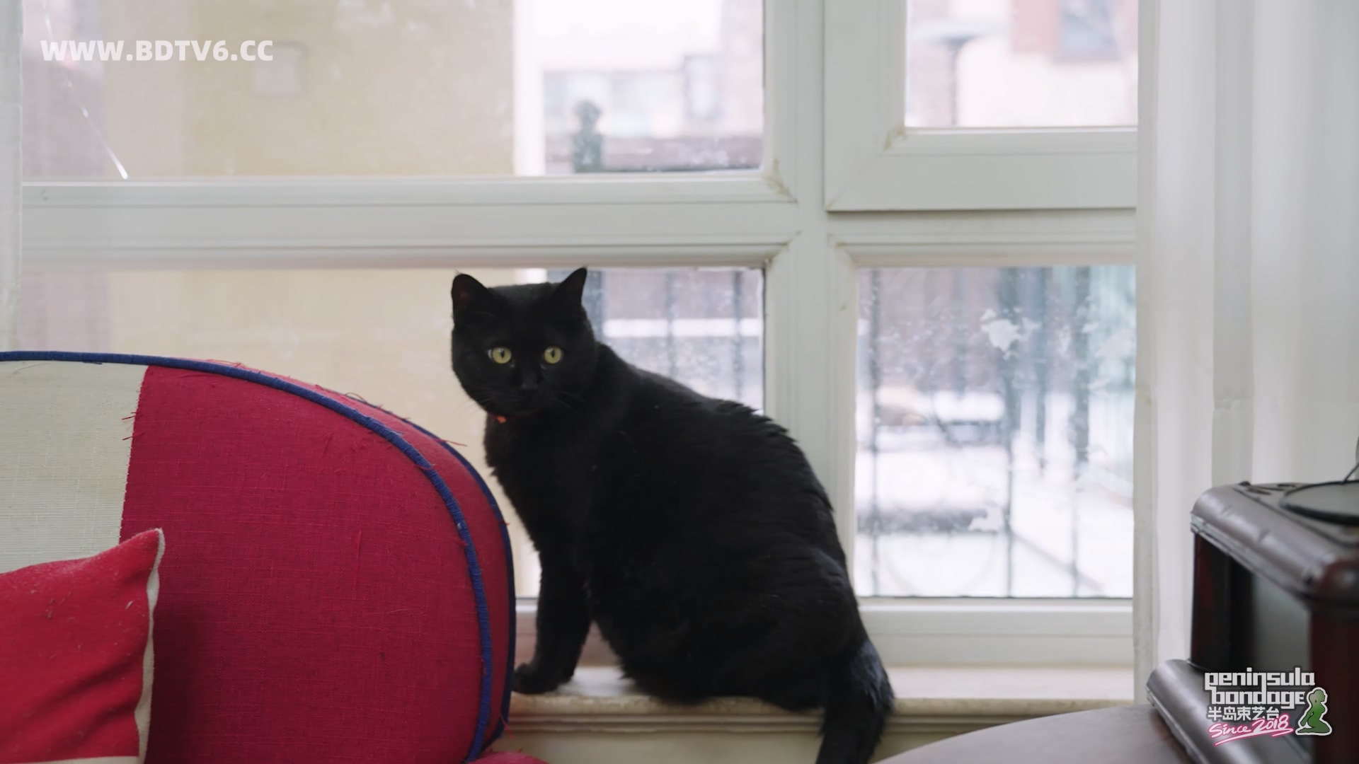 YT3095 ★好奇害死ET/index.m3u8_20260217_163131.046.jpg