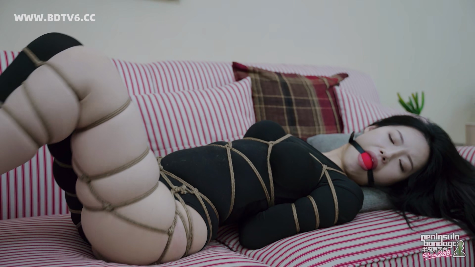 YT3095 ★好奇害死ET/index.m3u8_20260217_163132.468.jpg