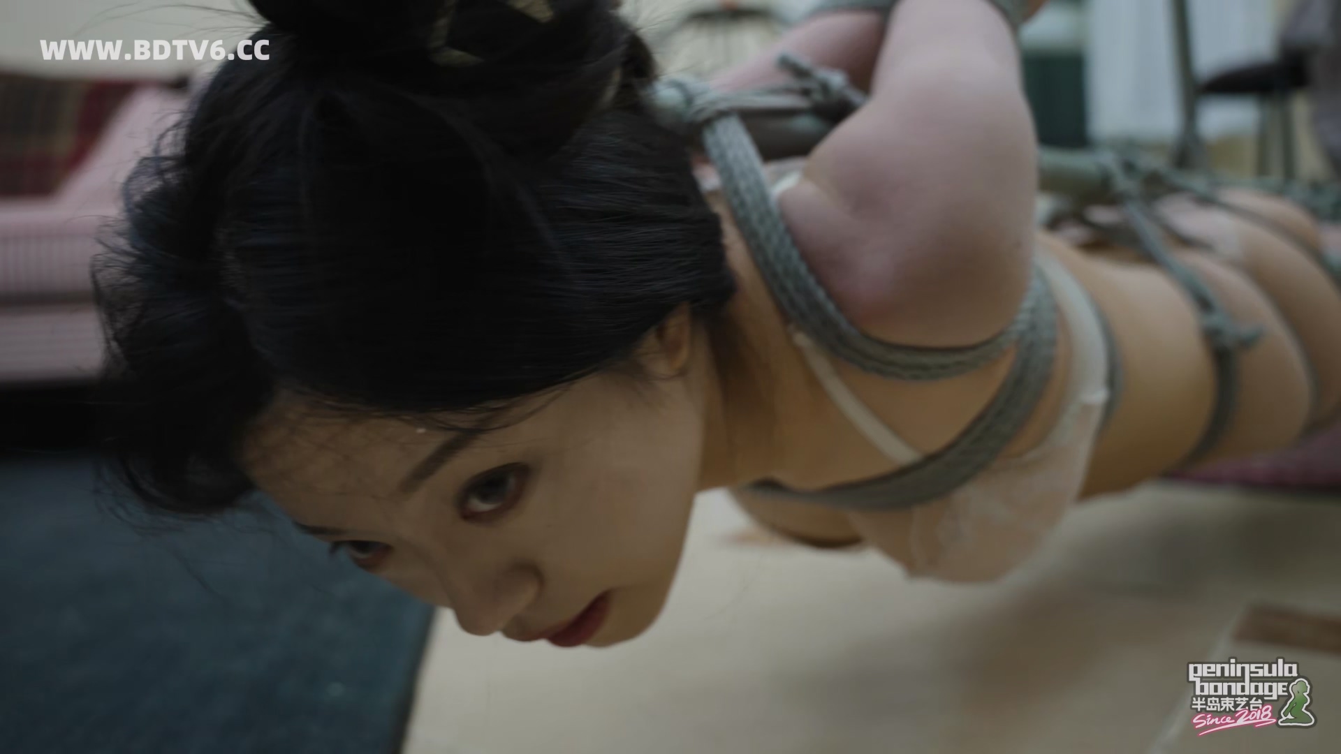 YT3096 按表走/index.m3u8_20260219_205202.441.jpg