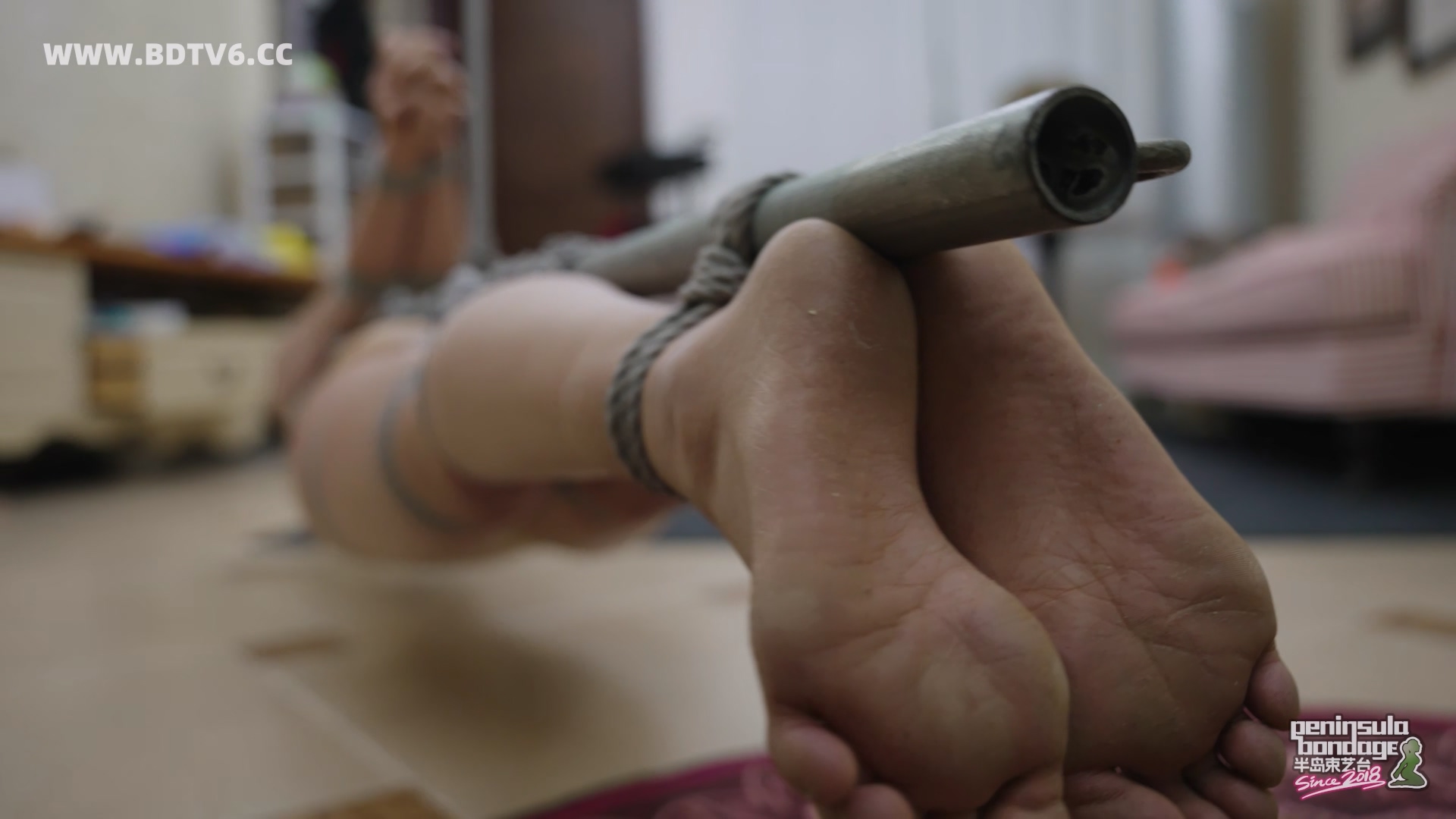 YT3096 按表走/index.m3u8_20260219_205205.432.jpg