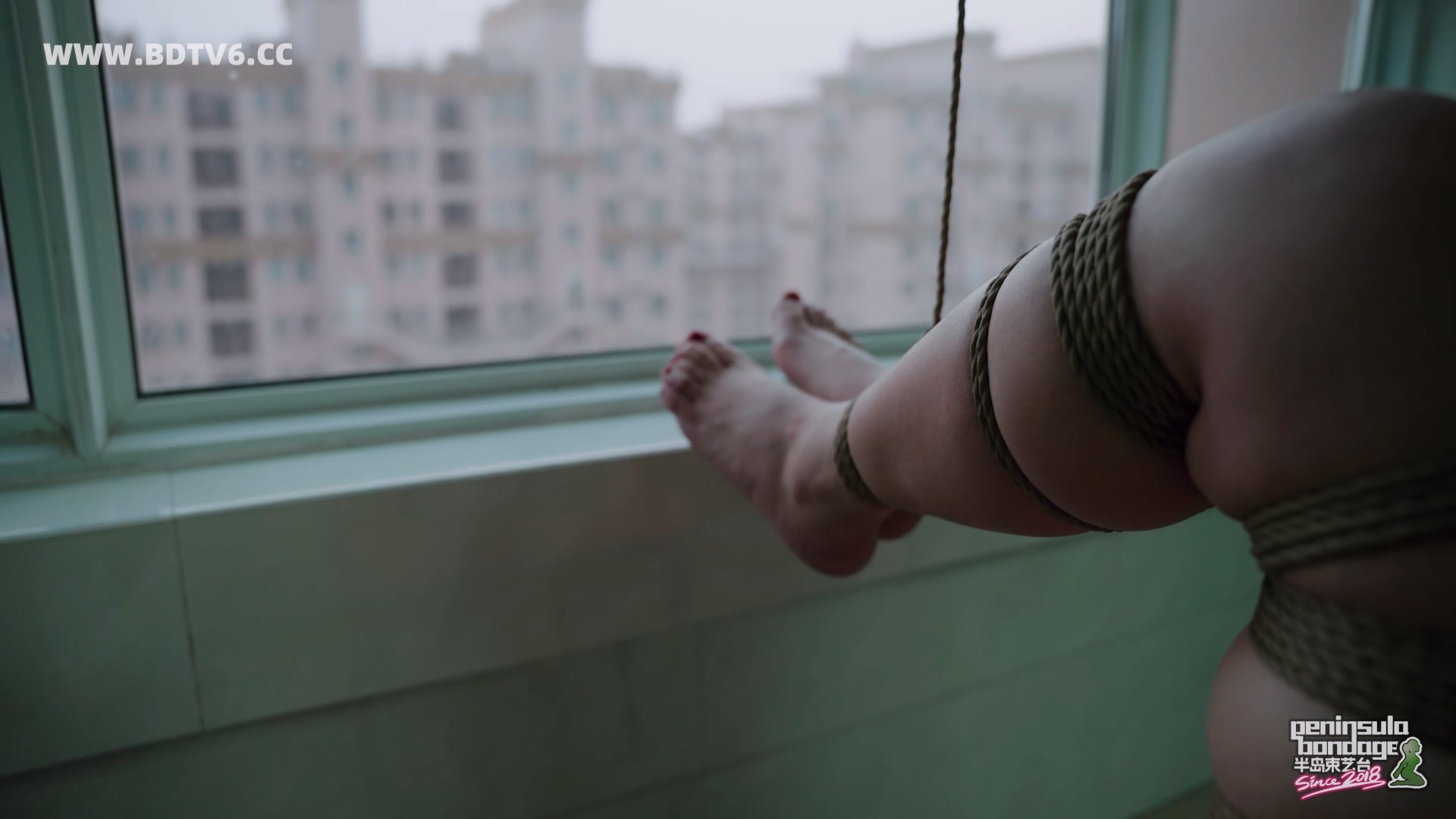 YT3108 对面的邻居看过来/index.m3u8_20260302_150115.806.jpg