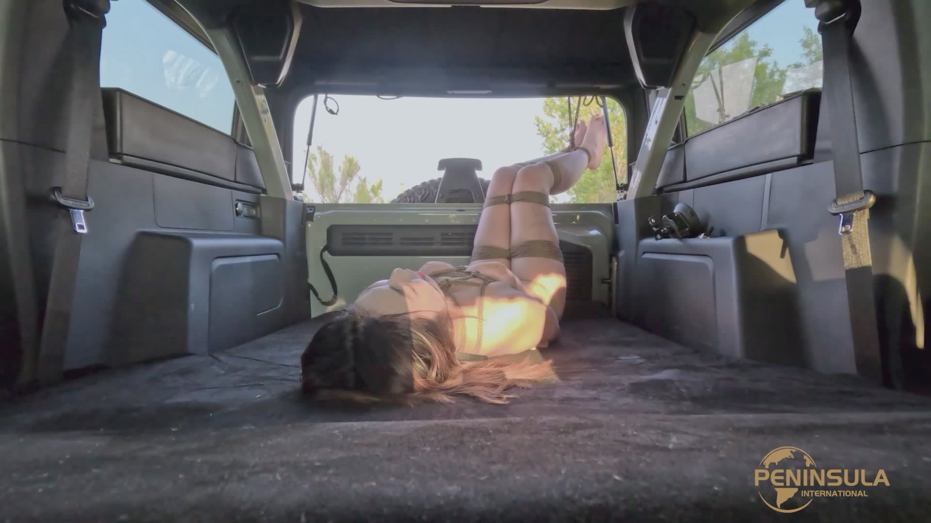 YT2823 车身人肉稳定系统HSP2.0版.mp4_20250526_230046.212.jpg