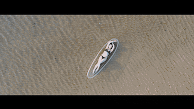 YT2828.gif YT2828.gif