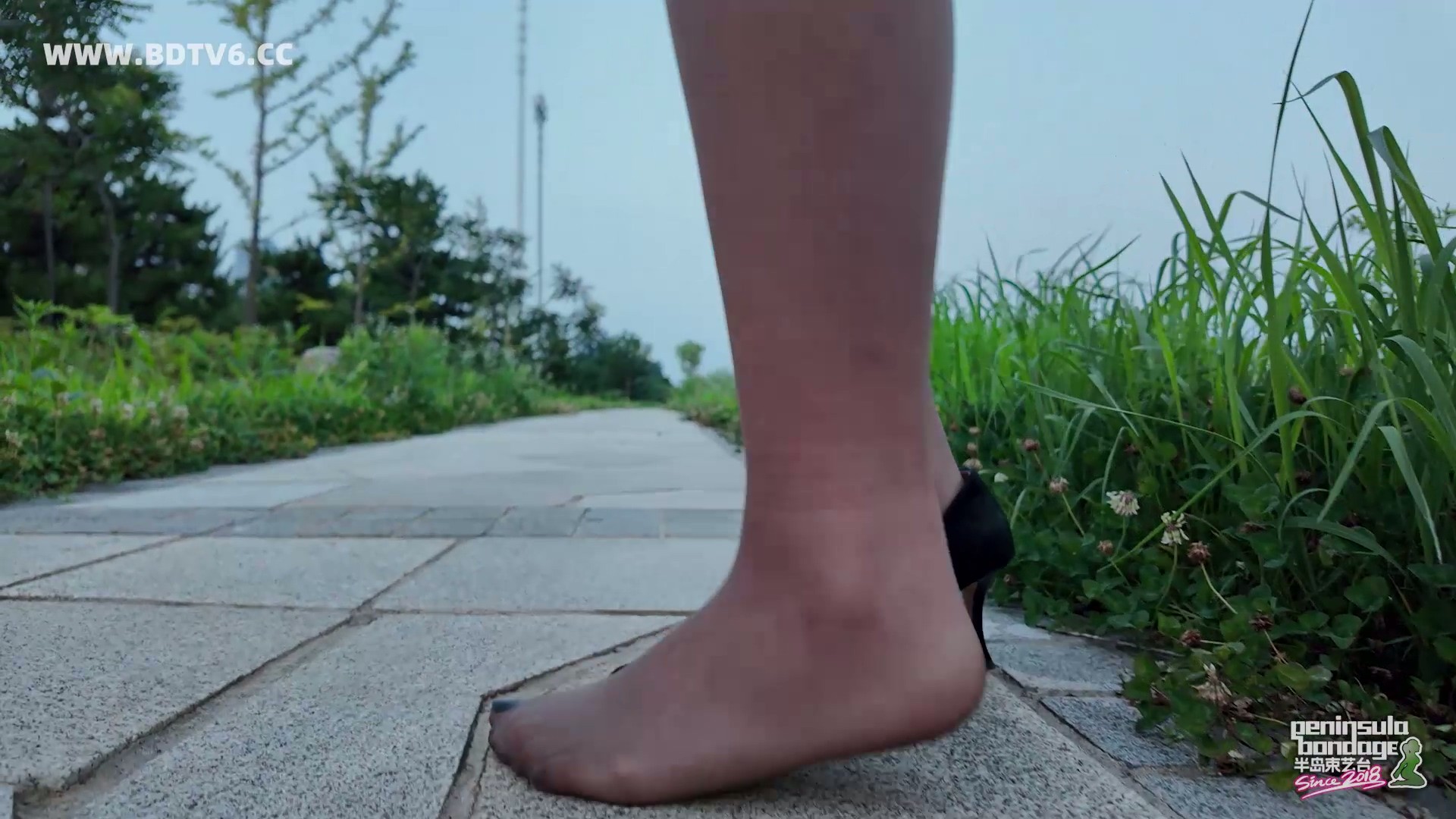 YT2878 我是栏杆的一部分/index.m3u8_20250711_030941.143.jpg