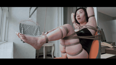 YT3108 对面的邻居看过来