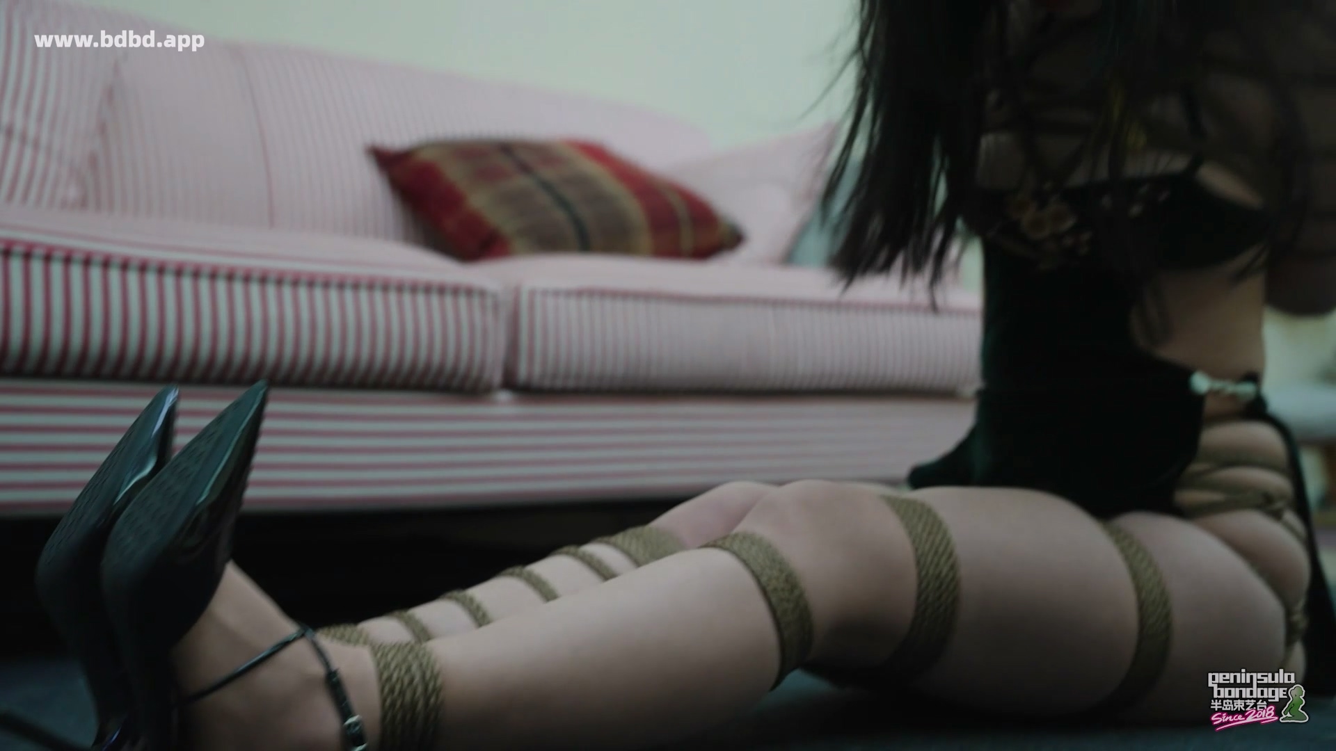 YT3150 电视终于修好了.mp4_20260410_222907.200.jpg