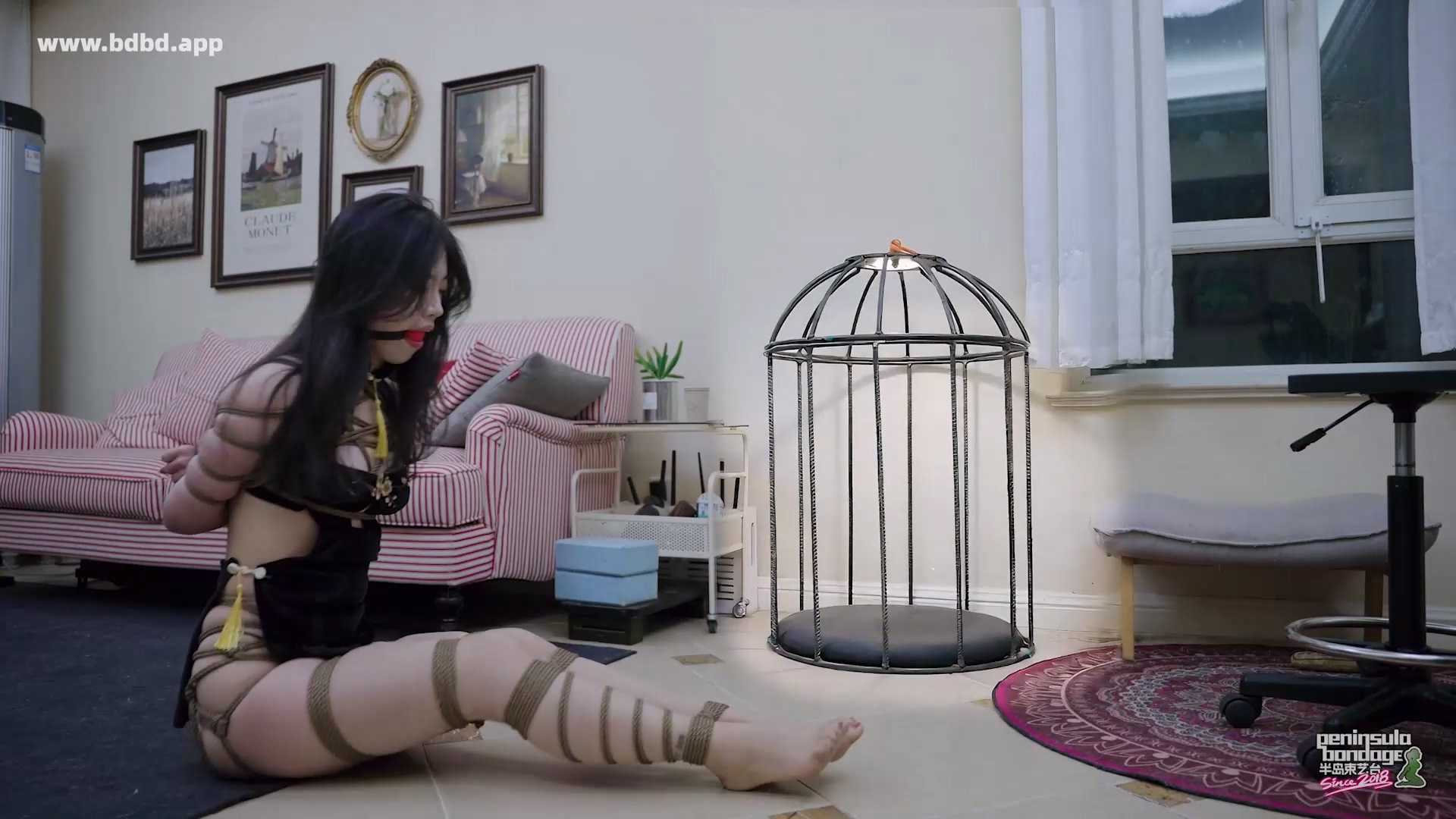 YT3150 电视终于修好了.mp4_20260410_223038.188.jpg