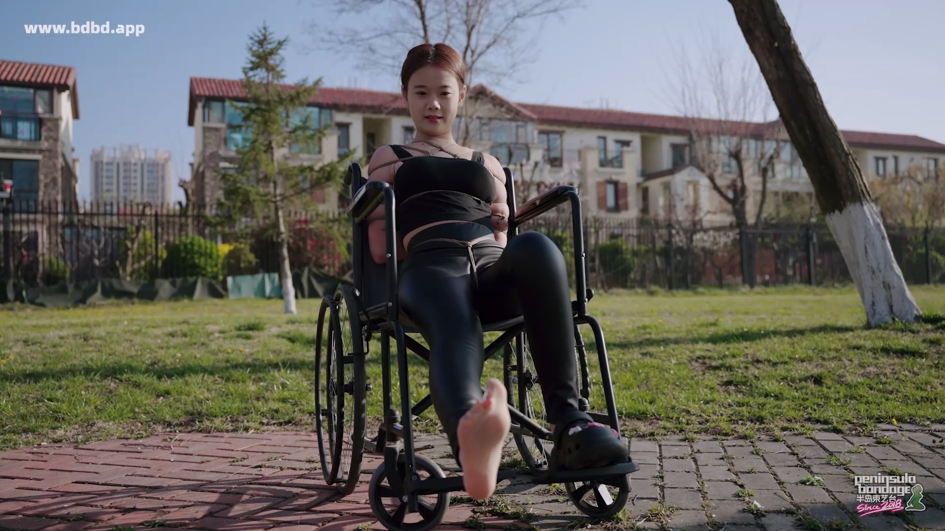 YT3153 爱的轮椅.mp4_20260413_022744.155.jpg