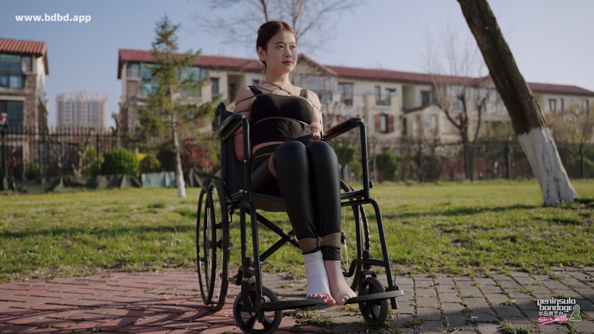 YT3153 爱的轮椅.mp4_20260413_022749.196.jpg