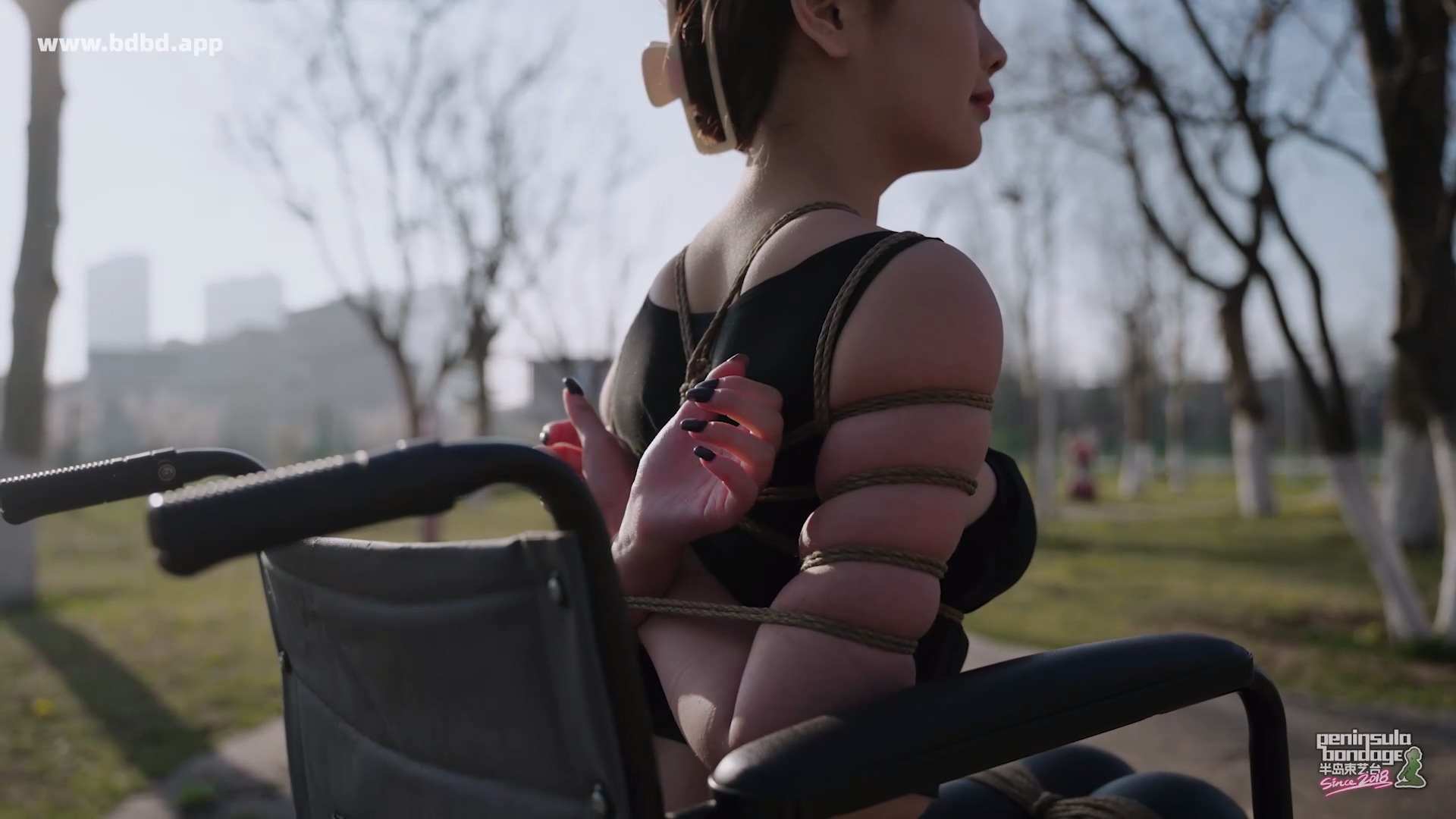 YT3153 爱的轮椅.mp4_20260413_022808.967.jpg