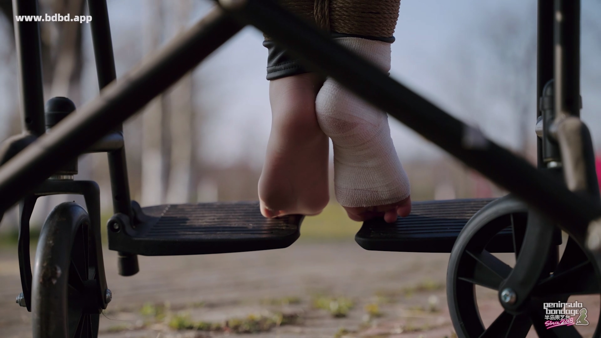 YT3153 爱的轮椅.mp4_20260413_022810.287.jpg