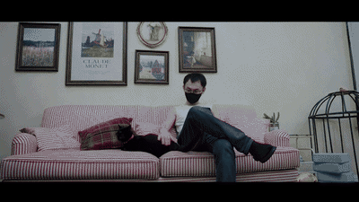 YT3123 真假黑猫