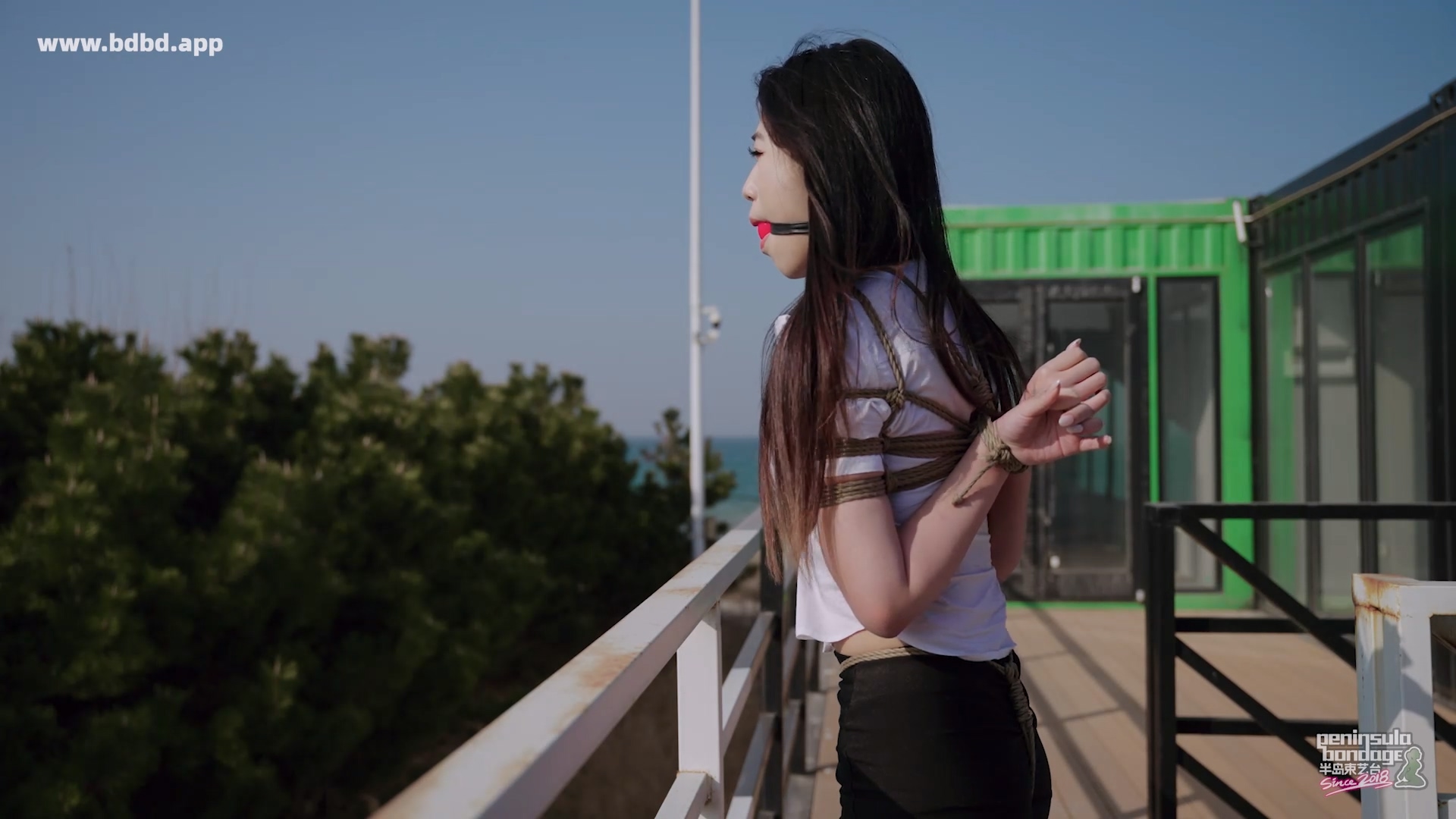 YT3145 秘书去哪了.mp4_20260404_060300.019.jpg