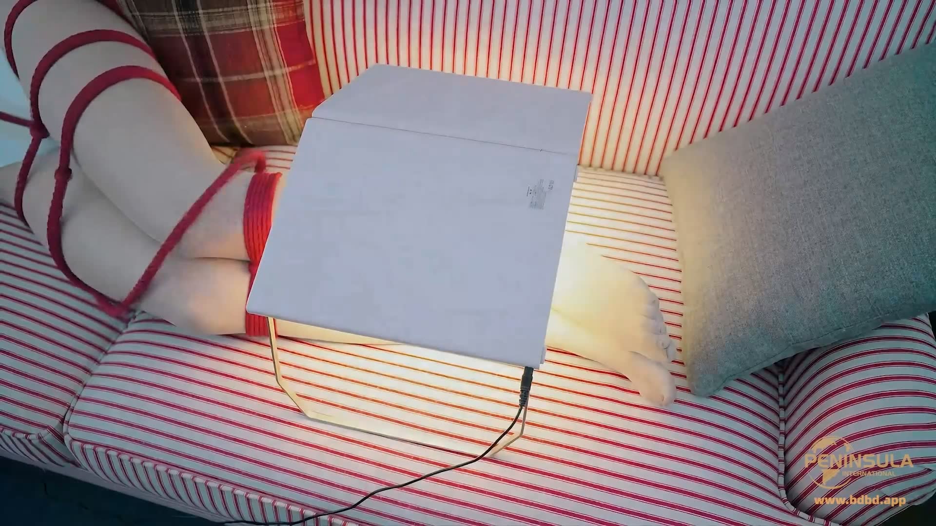 YT3148 美白灯?美缚灯?.mp4_20260408_005021.062.jpg