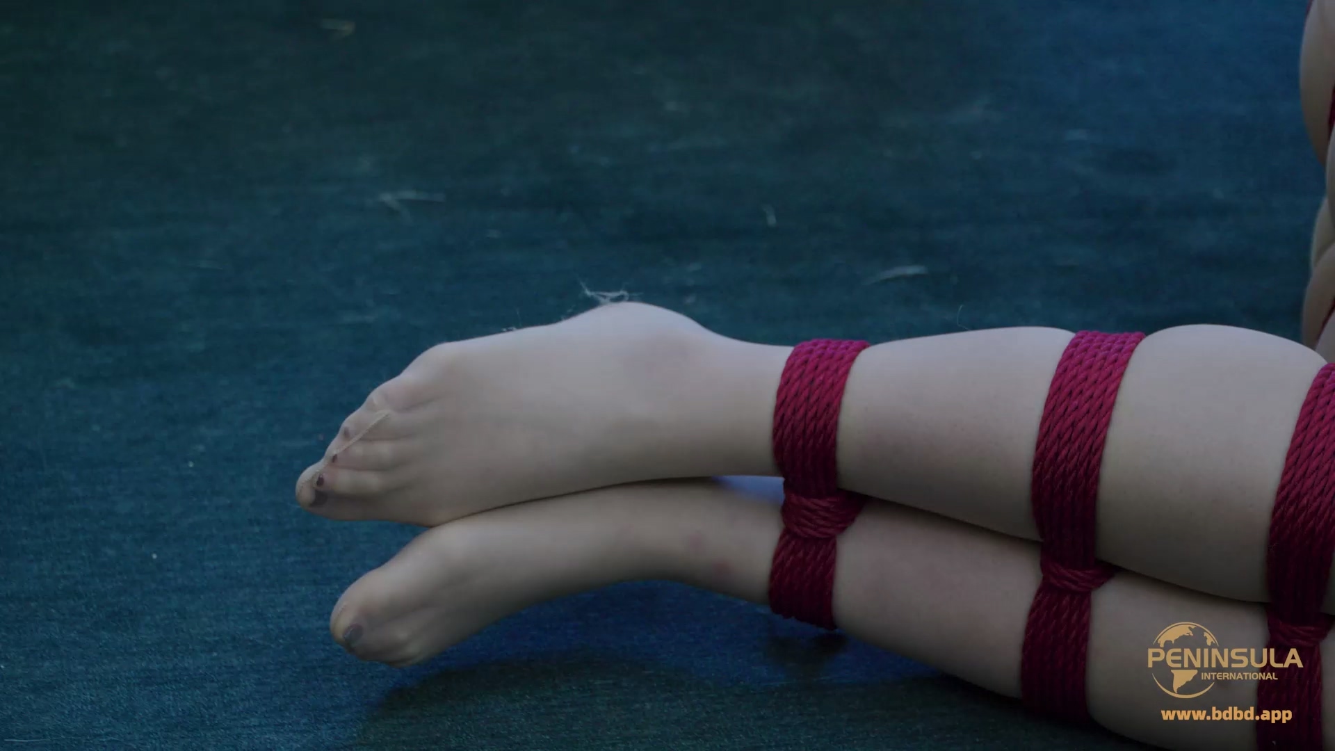 YT3148 美白灯?美缚灯?.mp4_20260408_005115.571.jpg