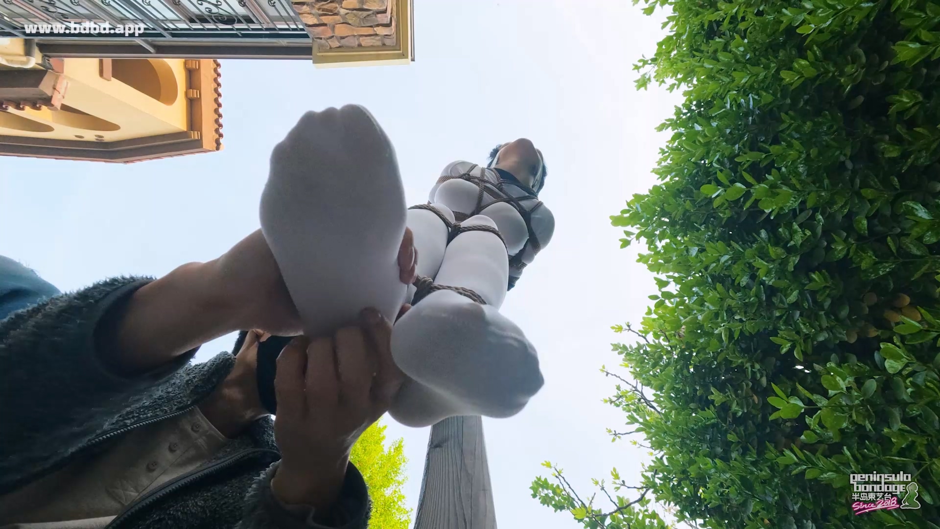 YT3165 脆弱的脖子.mp4_20260424_012024.615.jpg