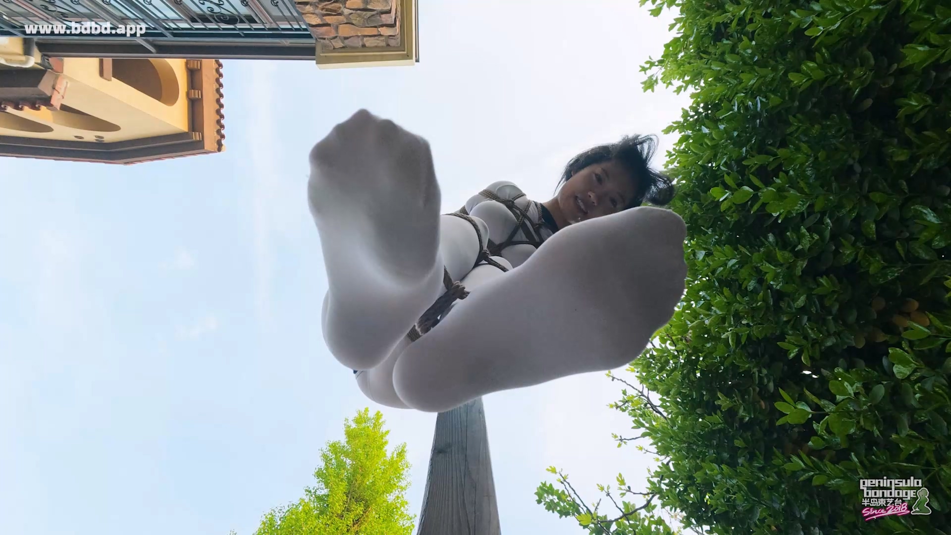 YT3165 脆弱的脖子.mp4_20260424_012038.714.jpg