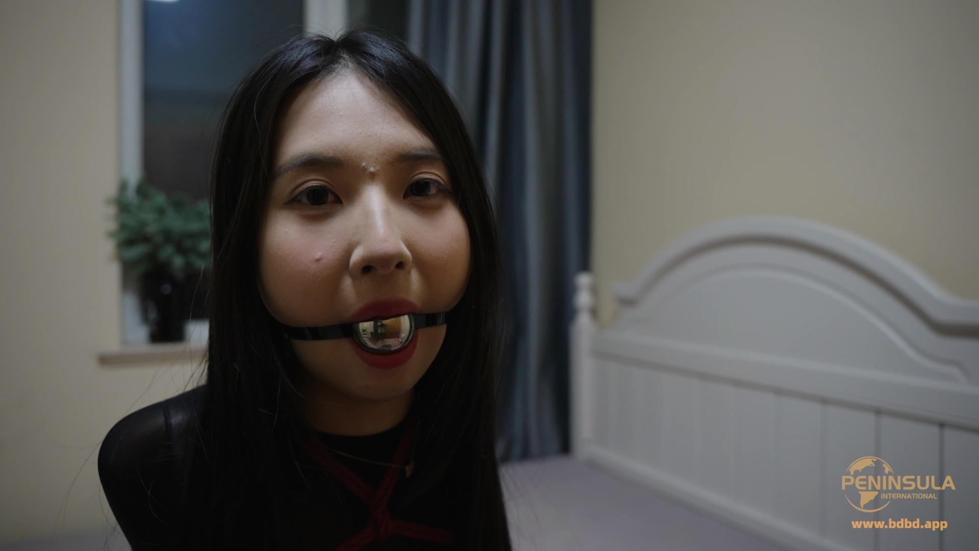 YT3177 丝袜解剖者