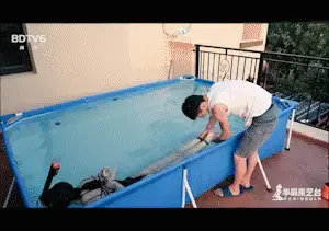 YT634 半岛水世界第三集：流星水中救生圈驷马