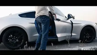 YT788 傍晚的草丛