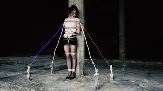 YT800 古墓丽影（上）