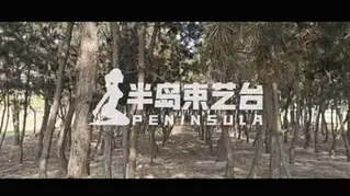 YT1546 秘林放置