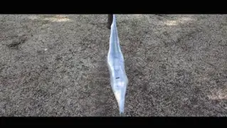 YT1561 你永远不知道台长会整出什么幺蛾子