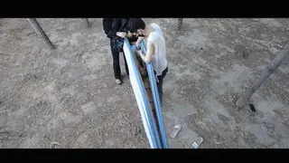 YT1562 繁忙公路旁的诡异风景