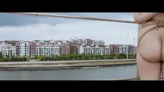 YT2446 敢问衣在何方